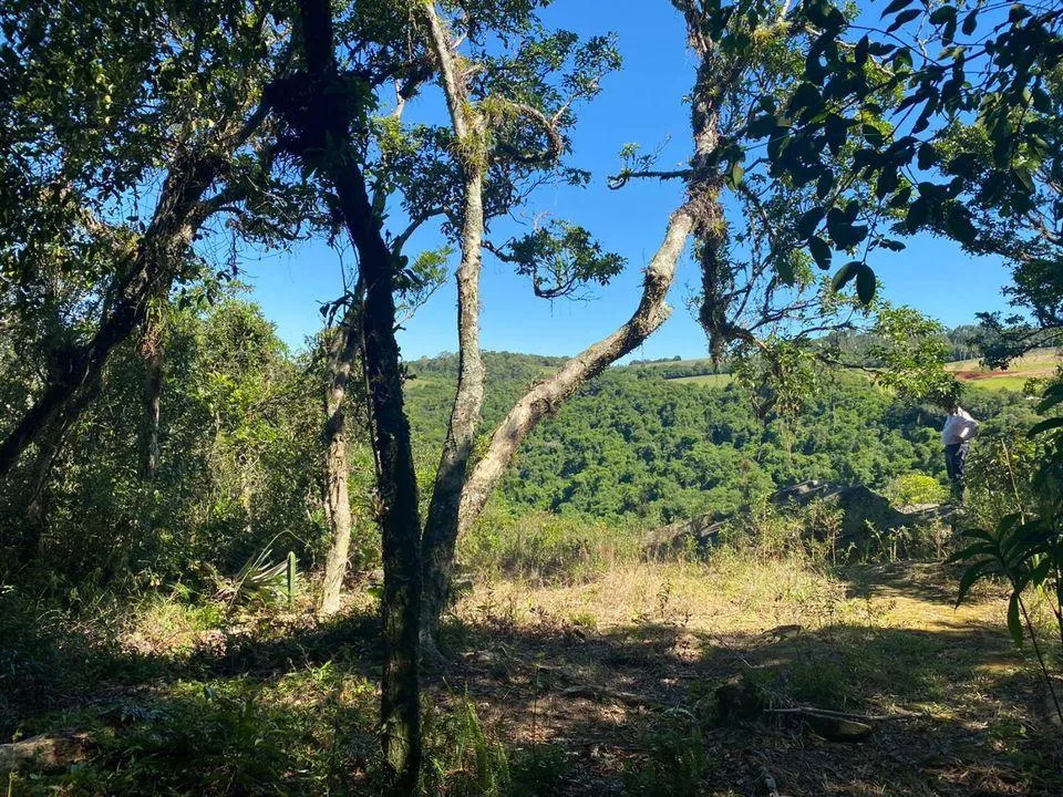 Chácara para  venda , localizado em São João do Deserto, Lomba Grande em Novo Hamburgo/RS.