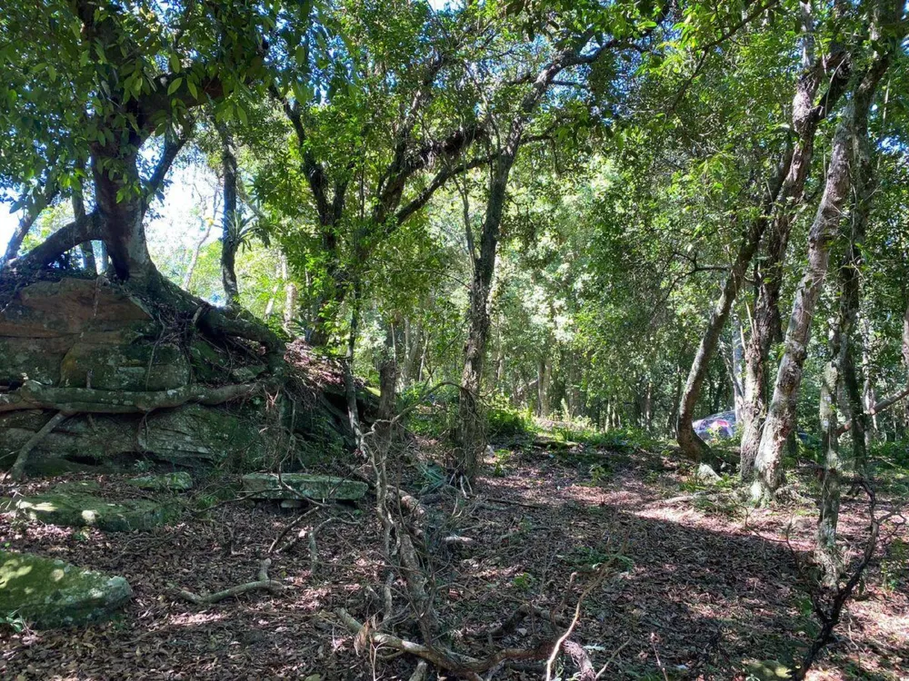 Chácara para  venda , localizado em São João do Deserto, Lomba Grande em Novo Hamburgo/RS.