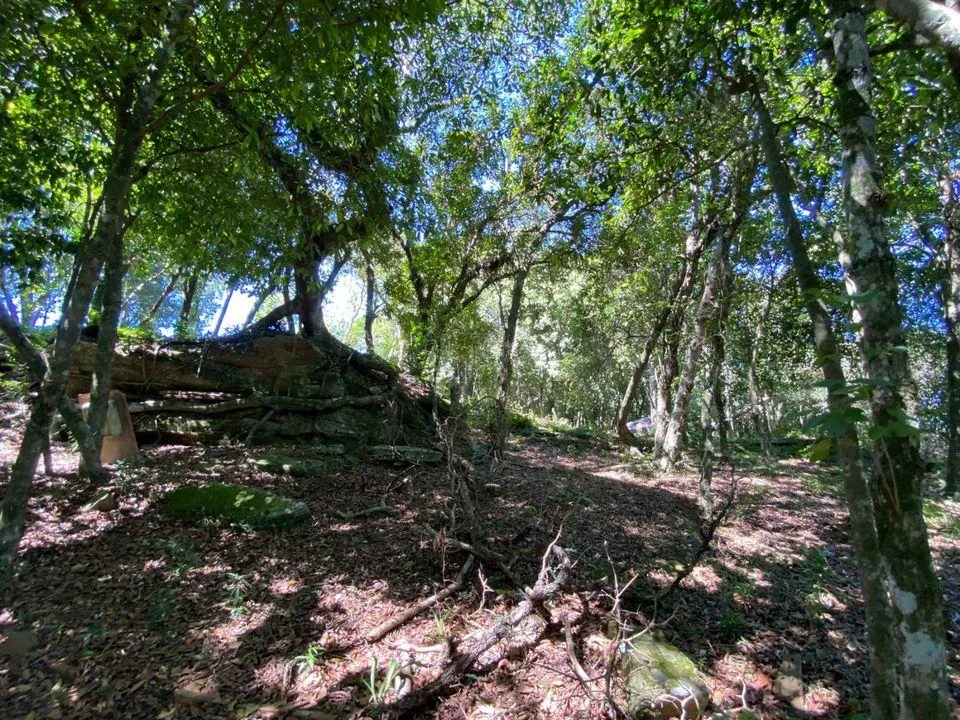 Chácara para  venda , localizado em São João do Deserto, Lomba Grande em Novo Hamburgo/RS.