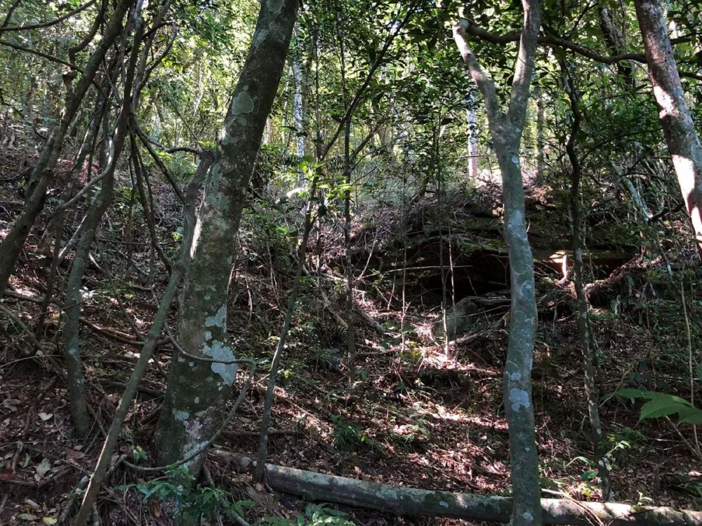 Chácara para  venda , localizado em São João do Deserto, Lomba Grande em Novo Hamburgo/RS.