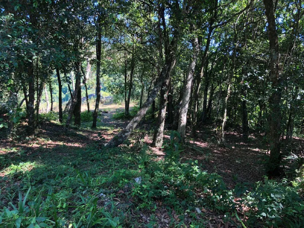 Chácara para  venda , localizado em São João do Deserto, Lomba Grande em Novo Hamburgo/RS.