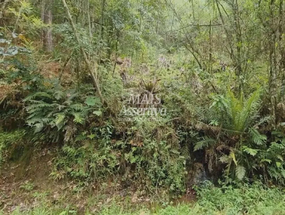 Sítio para Venda em São Francisco De Paula / RS no bairro Centro