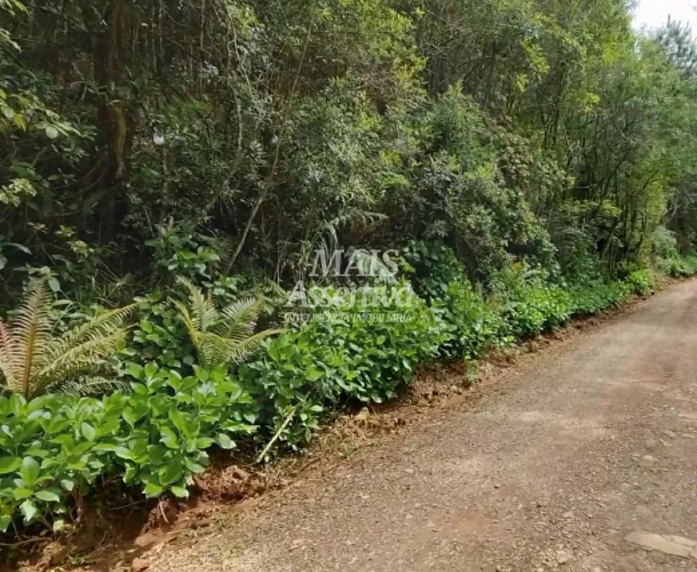 Sítio para Venda em São Francisco De Paula / RS no bairro Centro
