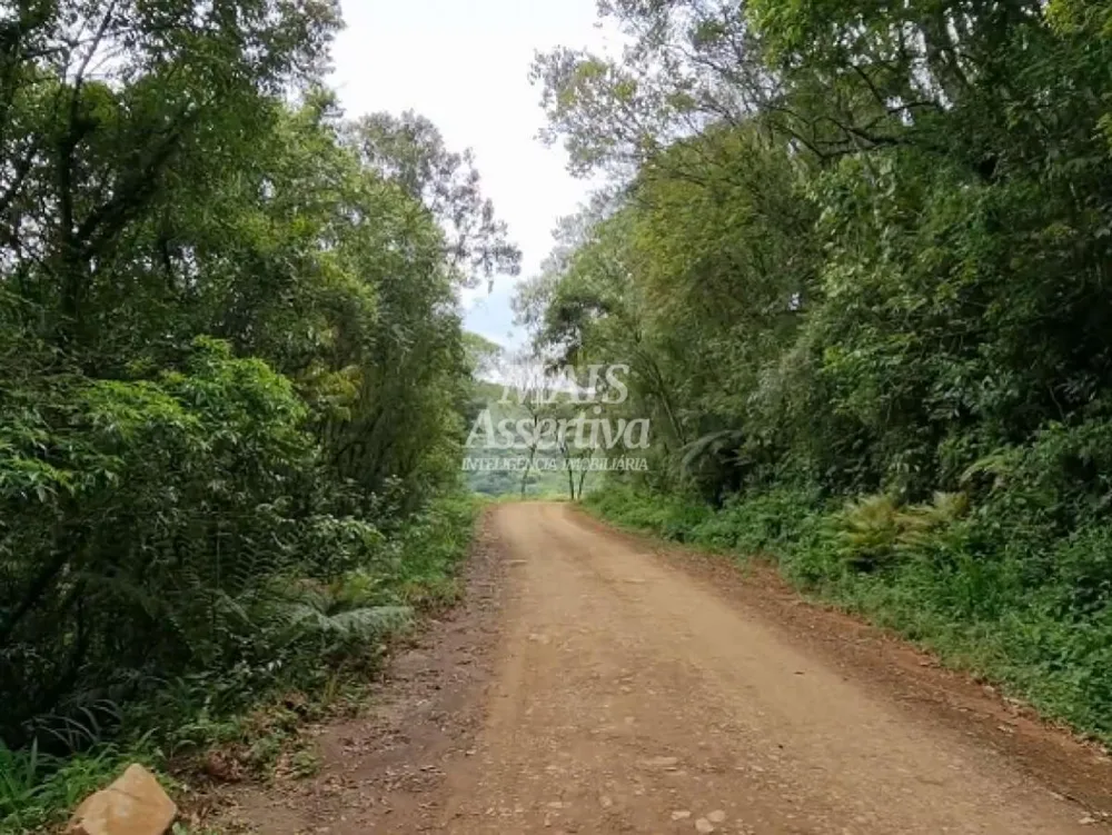 Sítio para Venda em São Francisco De Paula / RS no bairro Centro
