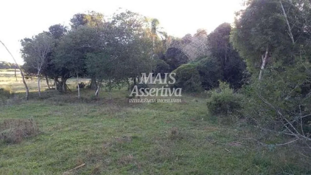 Sítio para Venda em Nova Santa Rita / RS no bairro Itapuí