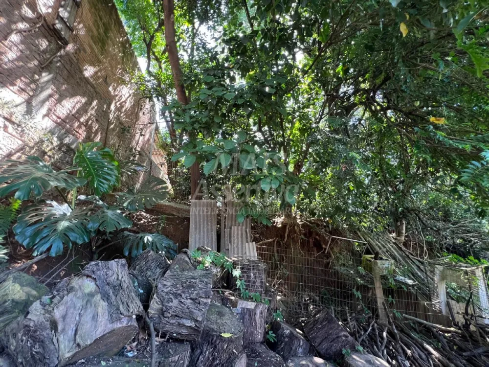 Terreno para Venda no bairro Santo Afonso em Novo Hamburgo