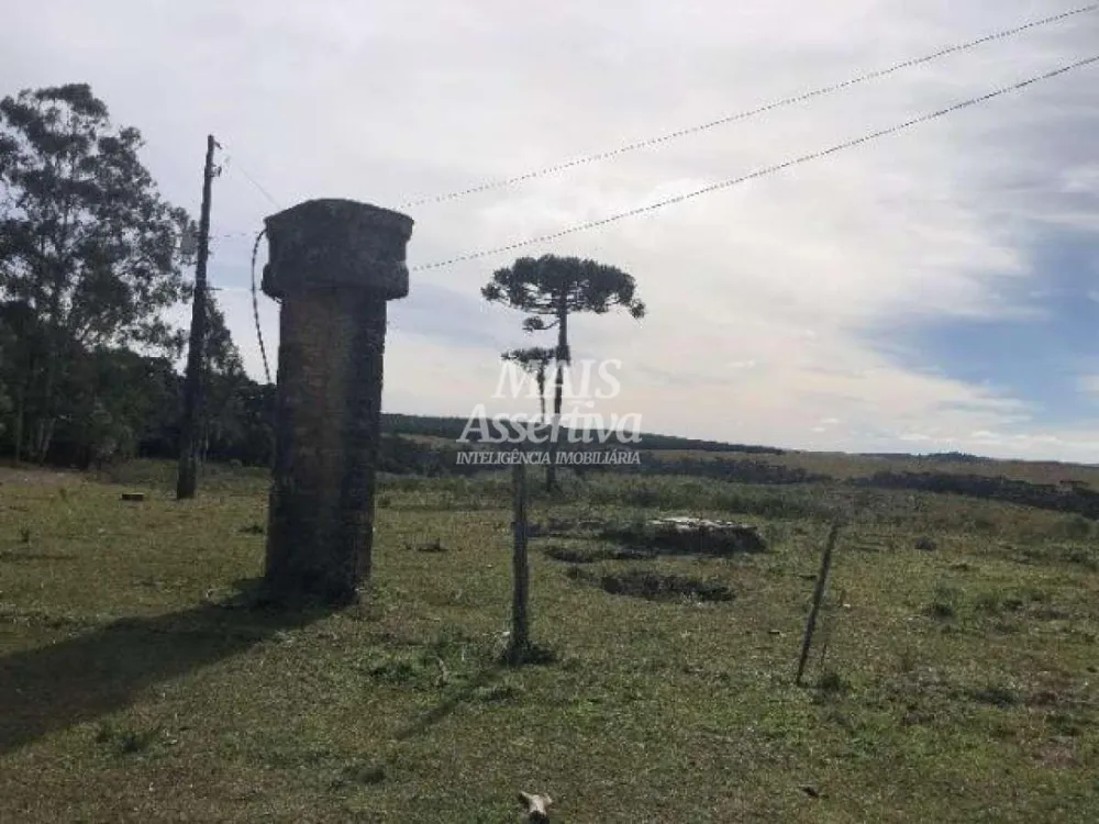 Sítio para Venda em Cambará Do Sul / RS no bairro Faxinalzinho