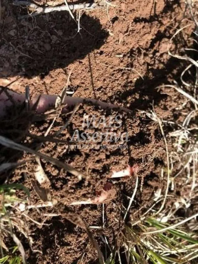 Sítio para Venda em Cambará Do Sul / RS no bairro Faxinalzinho