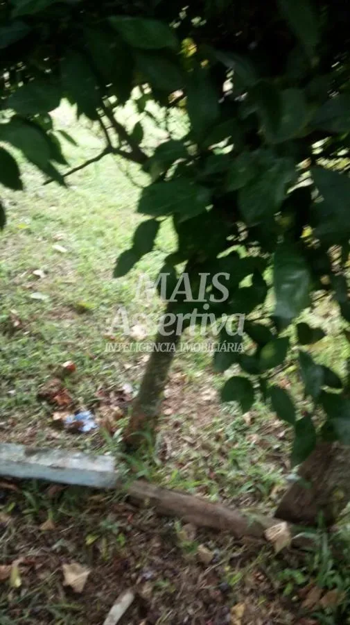 Sítio para Venda no bairro Santa Cruz da Concórdia em Taquara / RS.