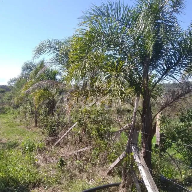 Terreno para venda de 1700m², Santa Cruz da Concórdia em Taquara/RS.