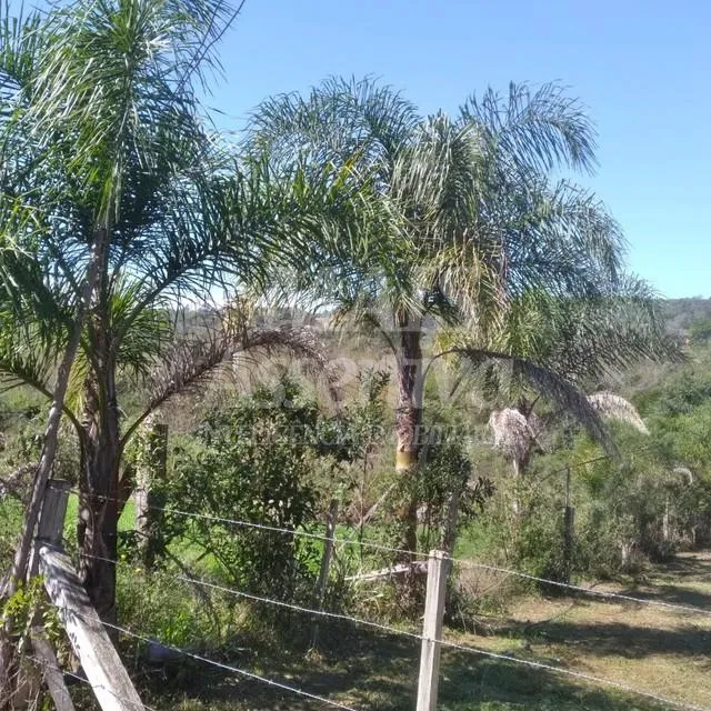 Terreno para venda de 1700m², Santa Cruz da Concórdia em Taquara/RS.