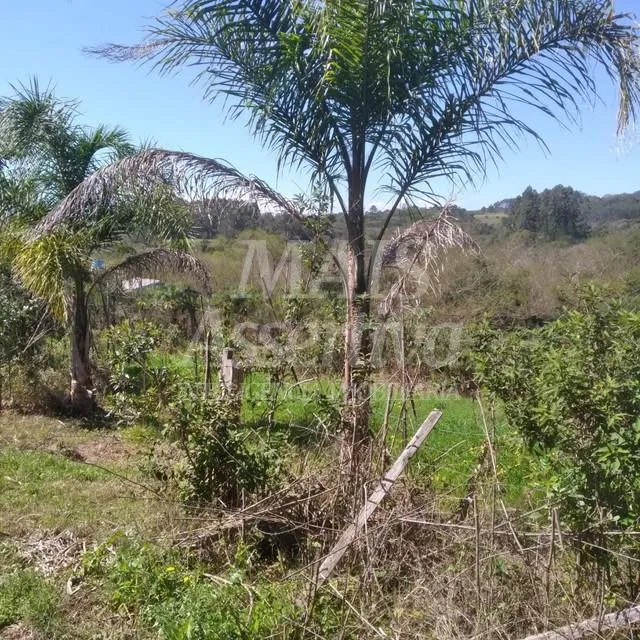 Terreno para venda de 1700m², Santa Cruz da Concórdia em Taquara/RS.