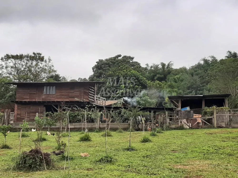 Sítio para venda em Portão