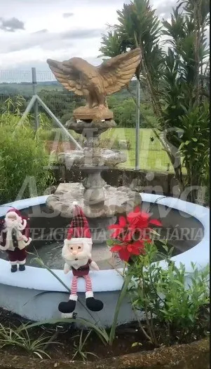 Belíssima Chácara com 2 (ha) para venda em Vila Seca Caxias do Sul