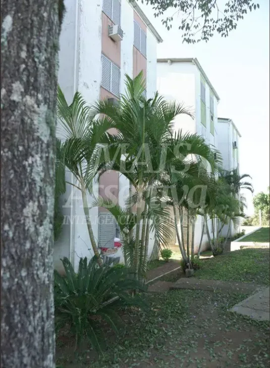 Apartamento para venda bairro Rondônia Novo Hamburgo