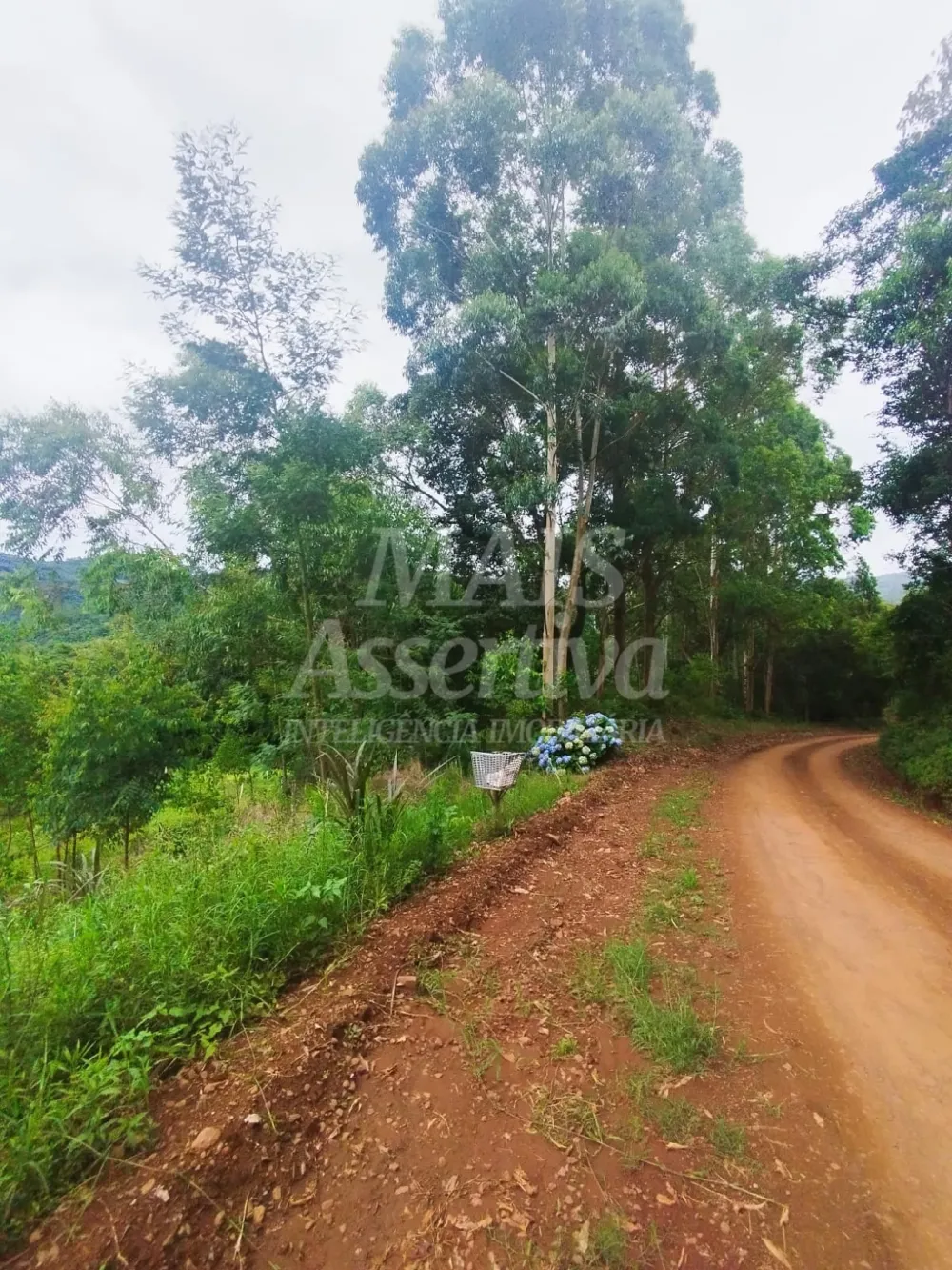 Sítio / Chácara para Venda no bairro Picada Verão em Sapiranga