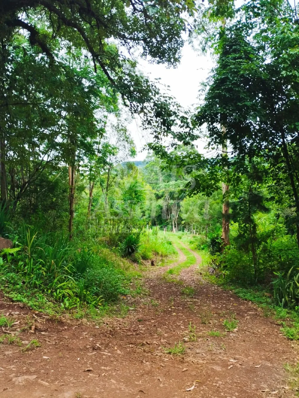 Sítio / Chácara para Venda no bairro Picada Verão em Sapiranga