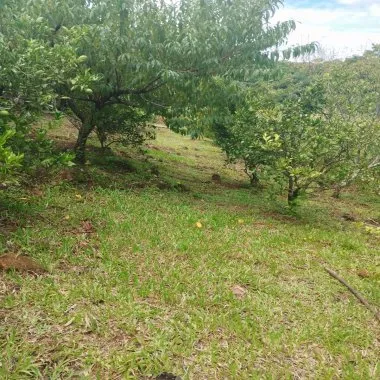Sítio / Chácara para Venda no bairro Picada Verão em Sapiranga