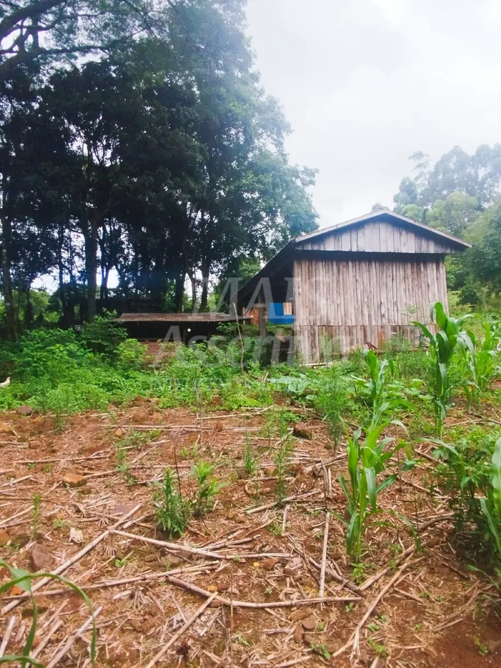 Sítio / Chácara para Venda no bairro Picada Verão em Sapiranga