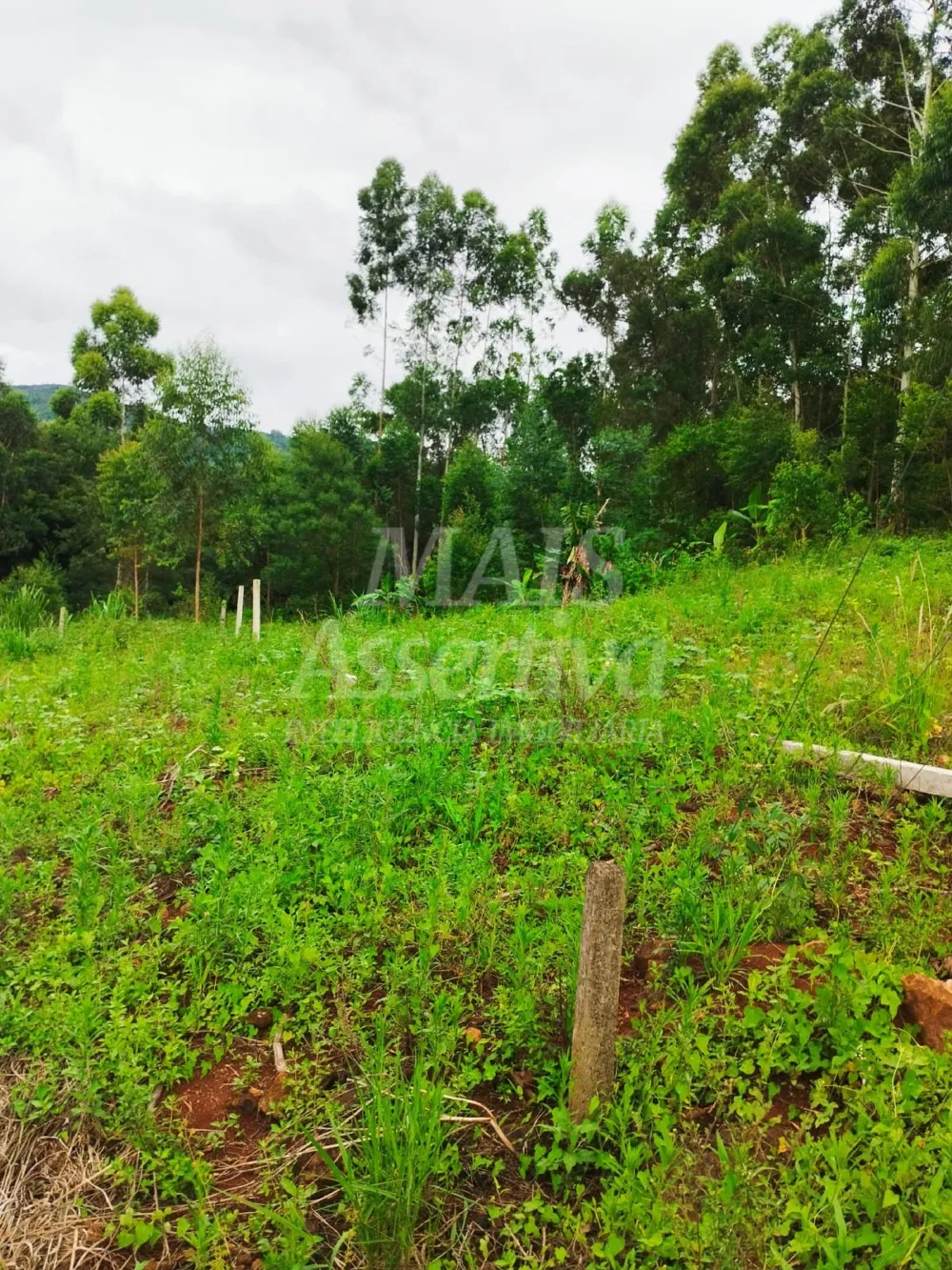 Sítio / Chácara para Venda no bairro Picada Verão em Sapiranga