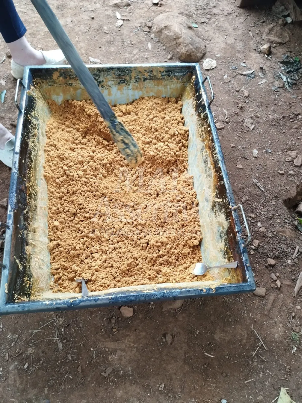 Sítio / Chácara para Venda no bairro Picada Verão em Sapiranga