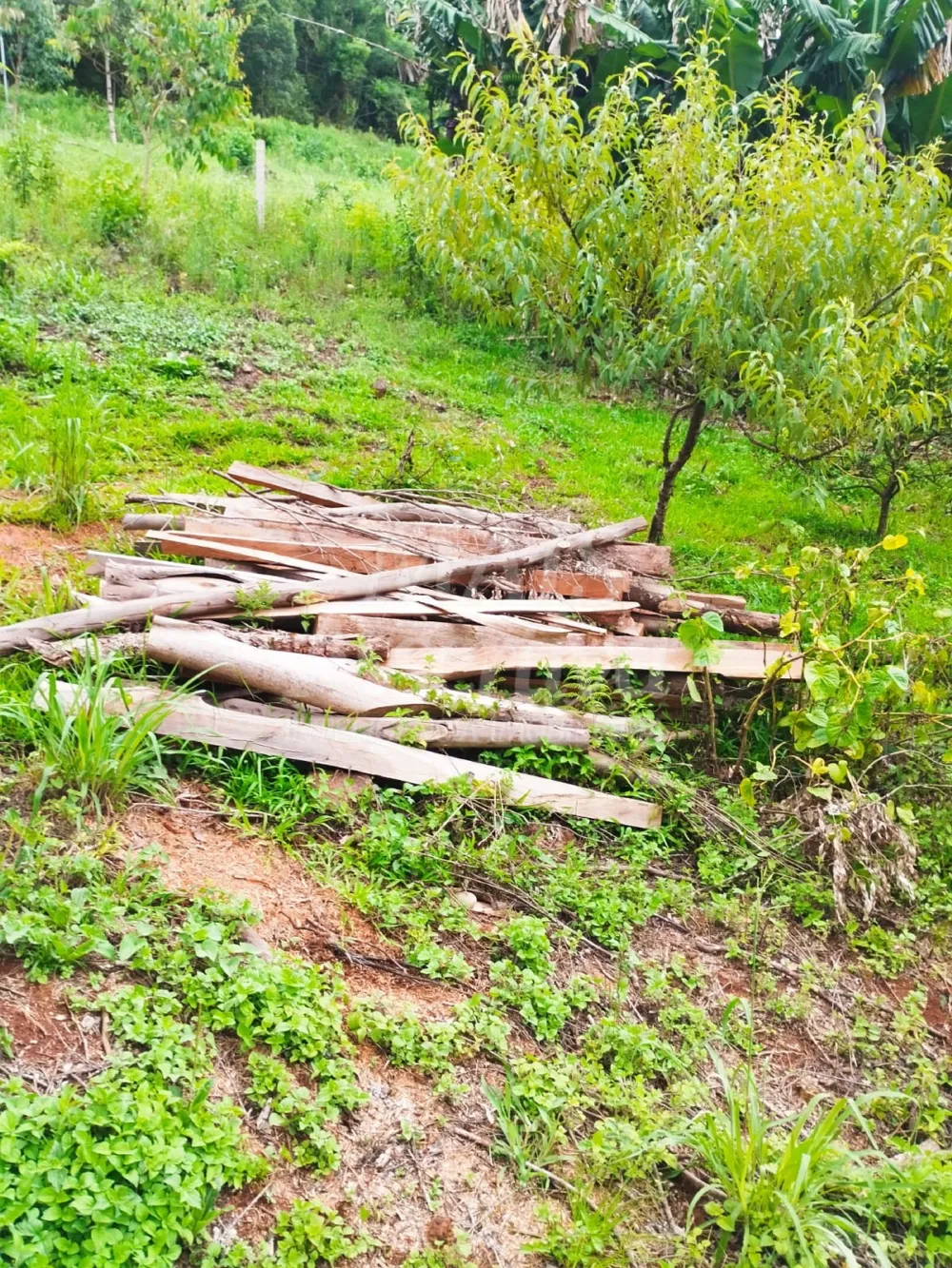 Sítio / Chácara para Venda no bairro Picada Verão em Sapiranga