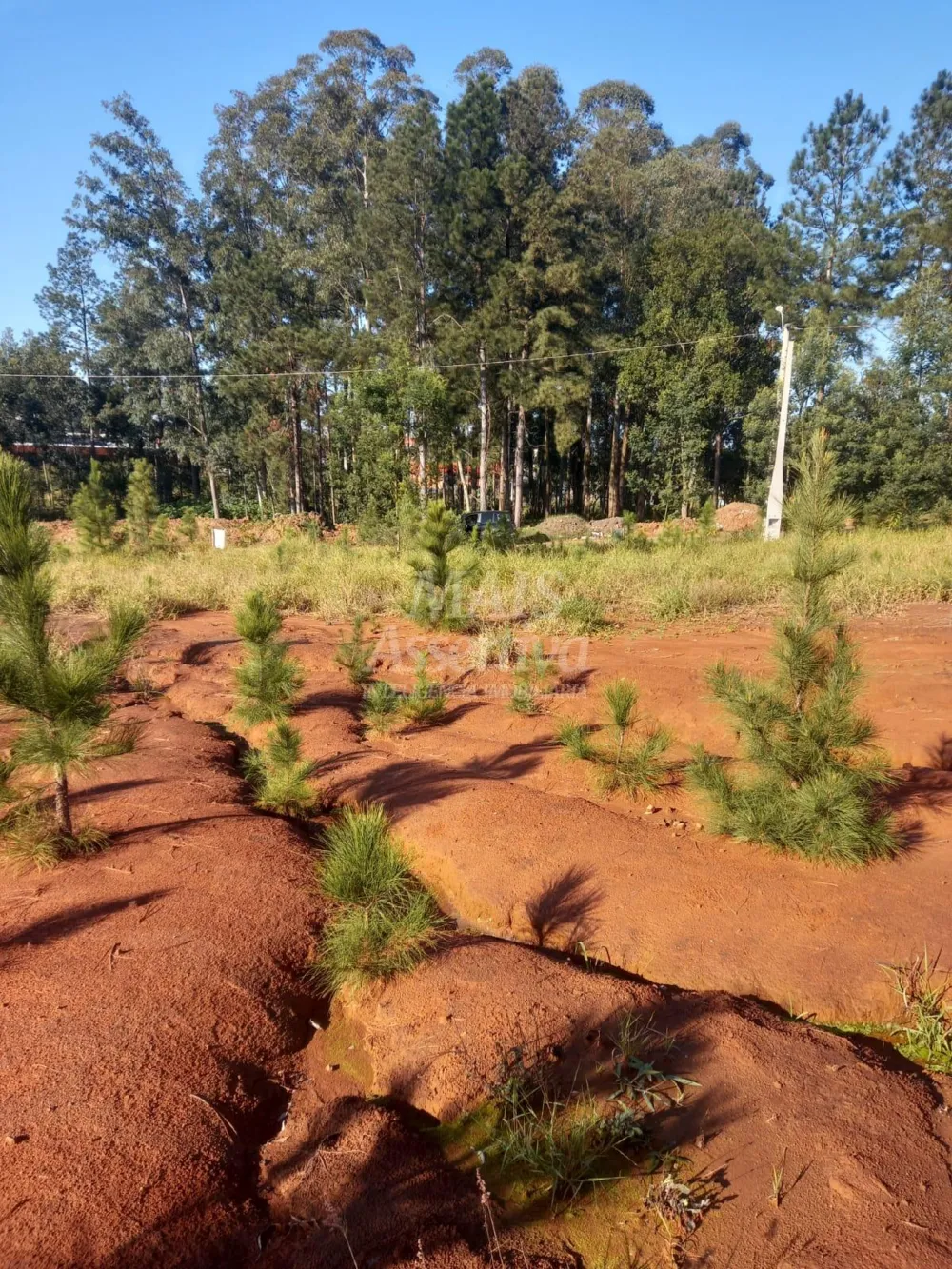 Terreno para venda, bairro Boa Vista em São Leopoldo - 313,95m² 