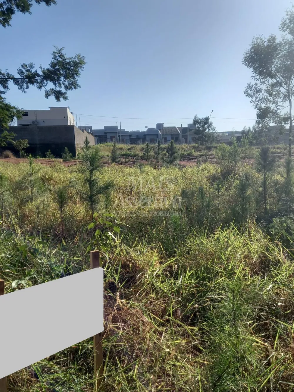 Terreno para venda, bairro Boa Vista em São Leopoldo - 313,95m² 