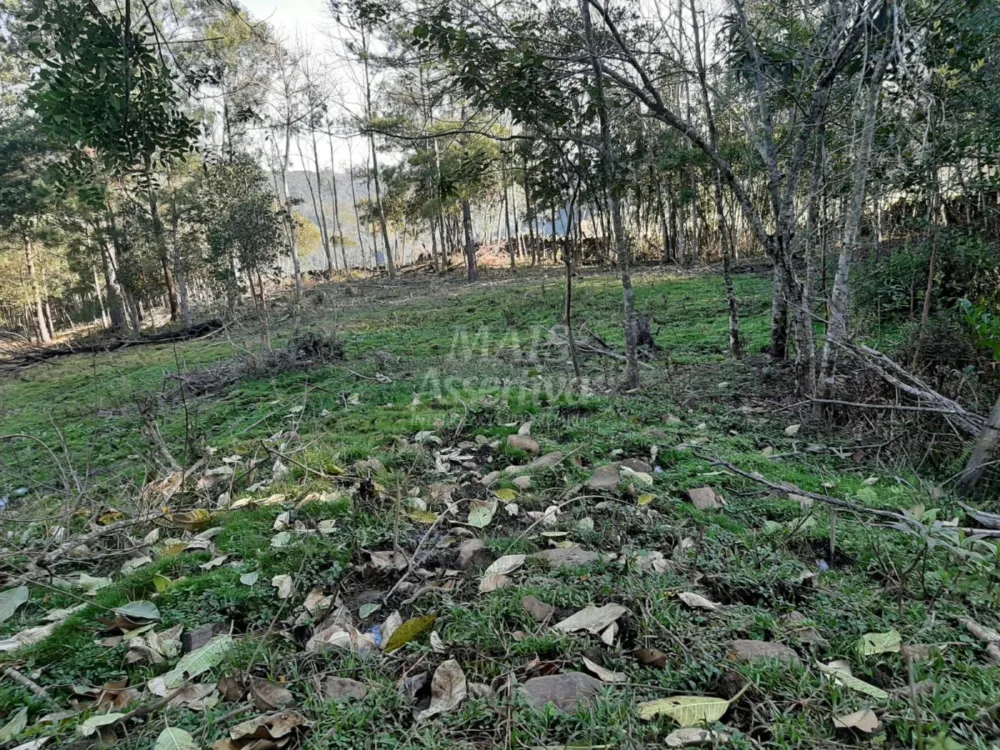 Área de 10 hectares para venda em São Francisco de Paula 