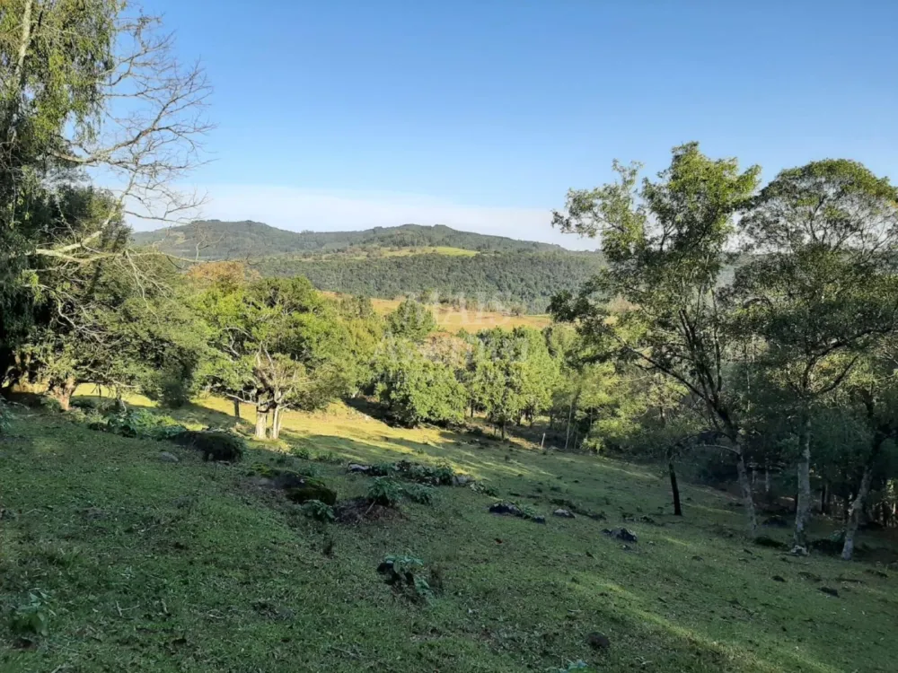 Área de 10 hectares para venda em São Francisco de Paula 