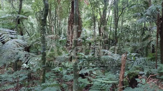 Terreno para venda loteamento colinas, são francisco de paula 