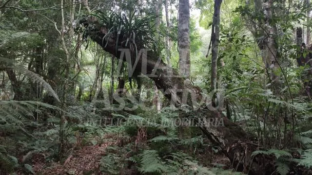 Terreno para venda loteamento colinas, são francisco de paula 