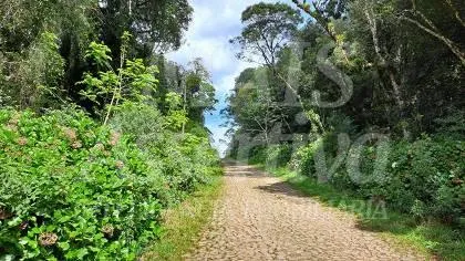 Terreno para venda loteamento colinas, são francisco de paula 