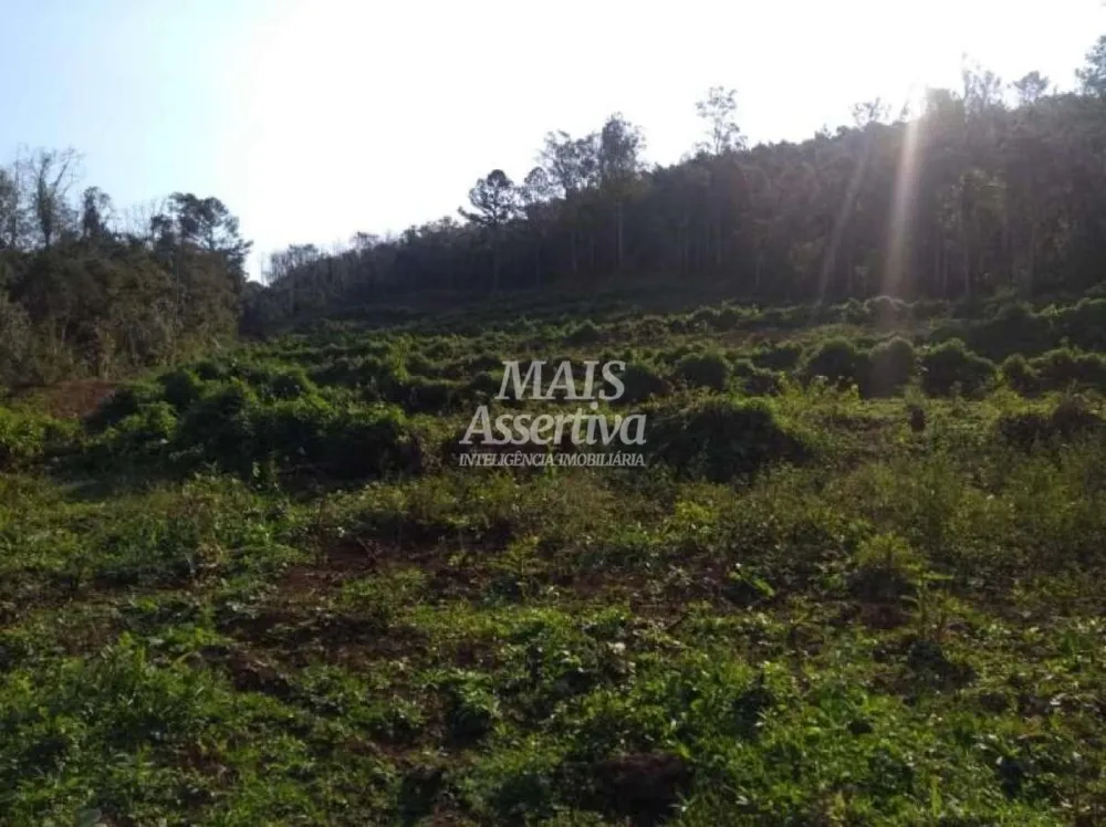 Terreno para Venda em Três Coroas / RS no bairro água Brancas