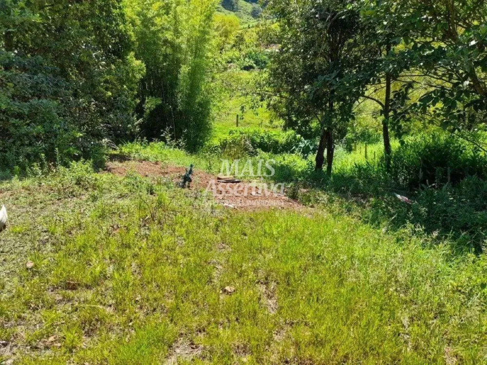 Terreno para Venda em Rolante / RS