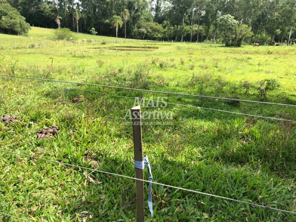 Terreno  para Venda em Lomba Grande, Novo Hamburgo 