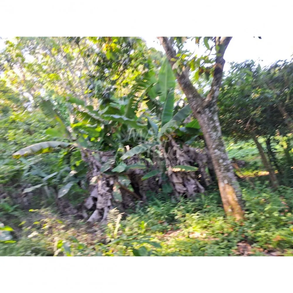 VENDE 