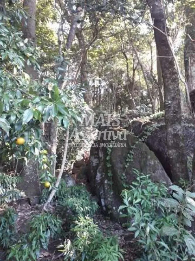 Sítio para Venda em Rolante / RS no bairro Morro Da Figueira
