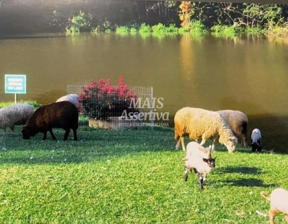 Terreno para Venda em Novo Hamburgo / RS no bairro Lomba Grande