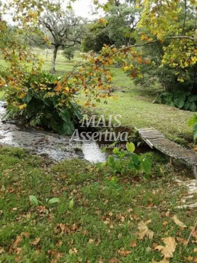 Sítio para Venda em São Francisco De Paula / RS no bairro Boa Vista