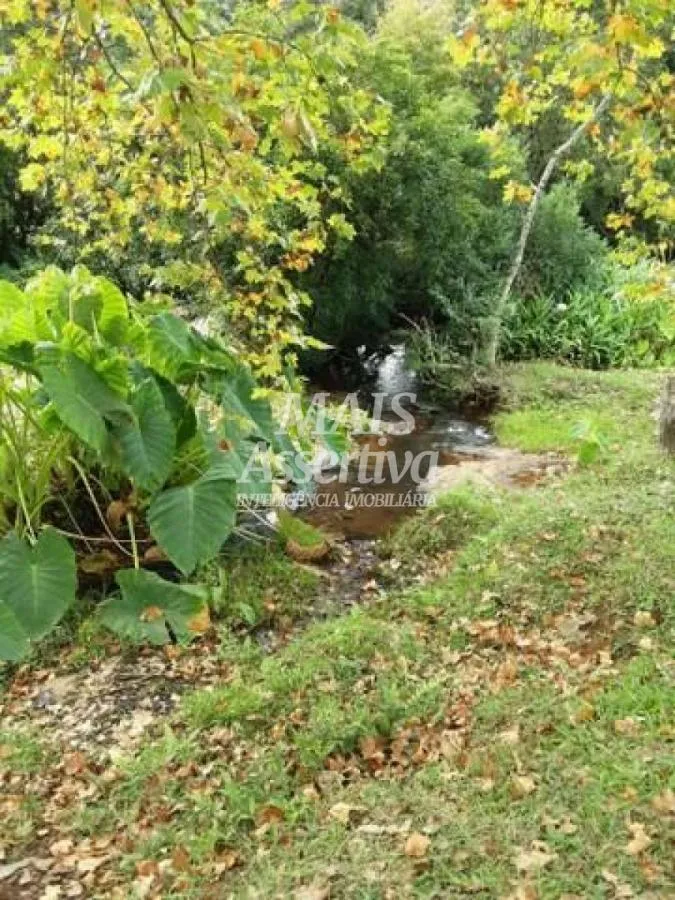 Sítio para Venda em São Francisco De Paula / RS no bairro Boa Vista