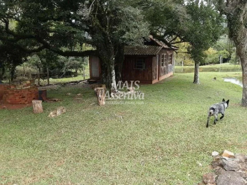 Sítio para Venda em São Francisco De Paula / RS no bairro Boa Vista
