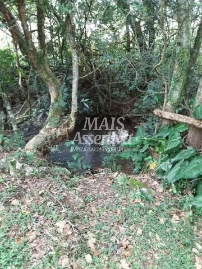 Sítio para Venda em São Francisco De Paula / RS no bairro Boa Vista