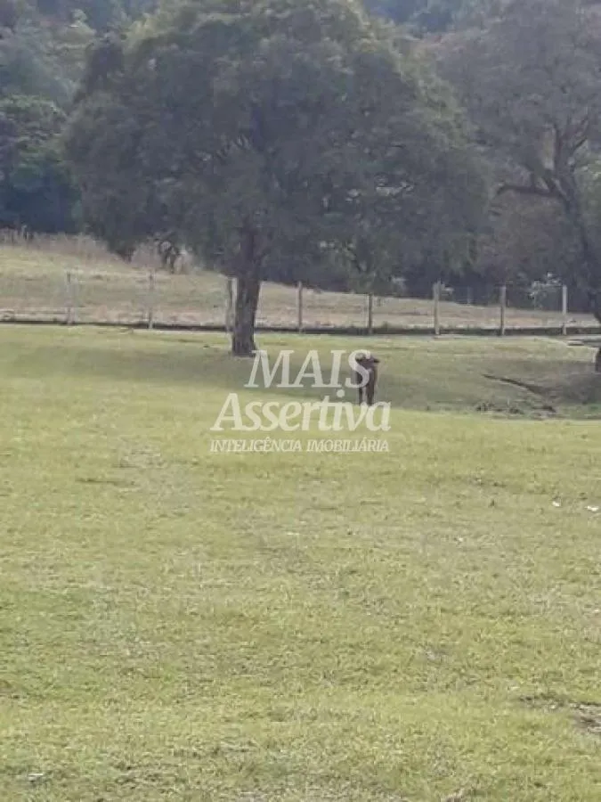 Sítio para Venda em São Francisco De Paula / RS no bairro Boa Vista