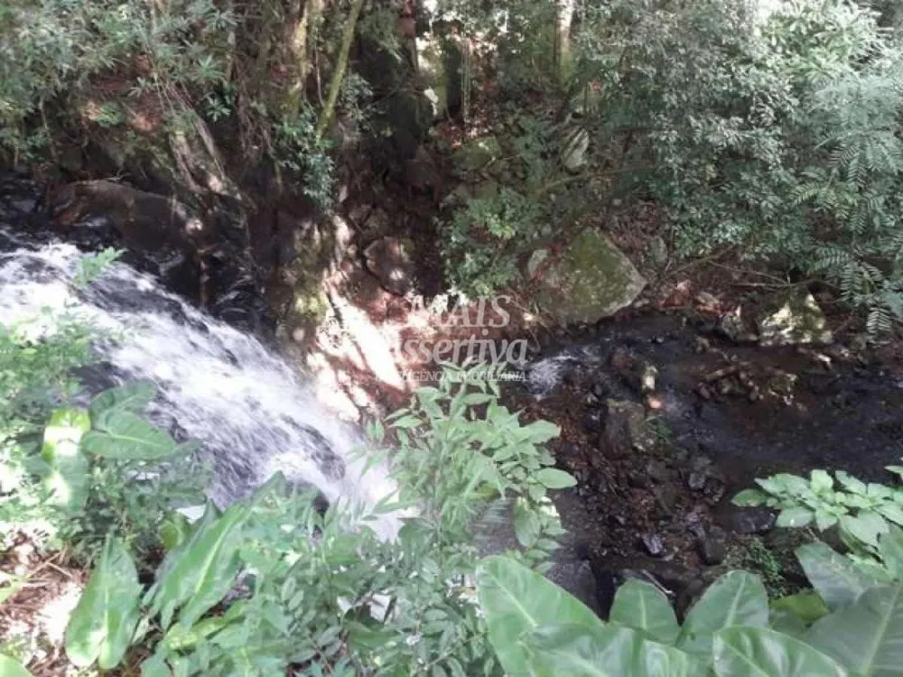Sítio para Venda em São Francisco De Paula / RS no bairro Boa Vista