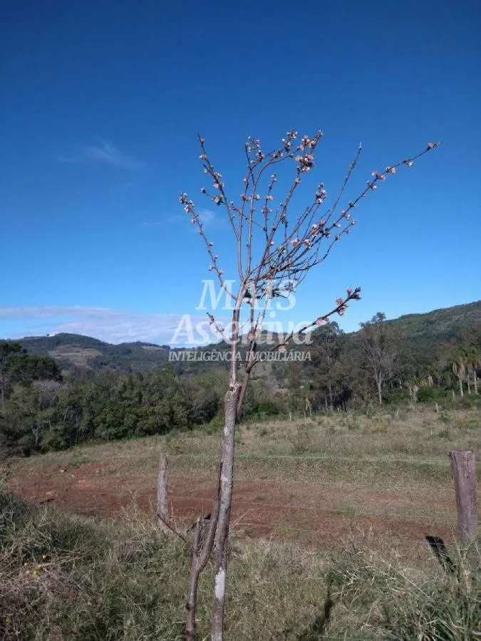 Terreno para Venda em Santo Antônio da Patrulha / RS