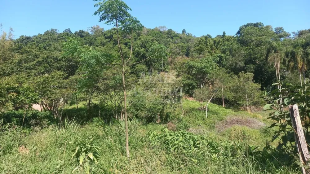 Excelente Chácara para Venda em Taquara Bairro Pega Fogo