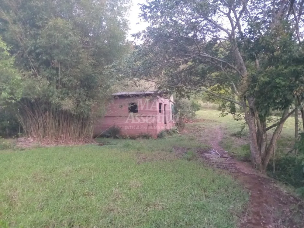 Excelente Chácara para Venda em Taquara Bairro Pega Fogo