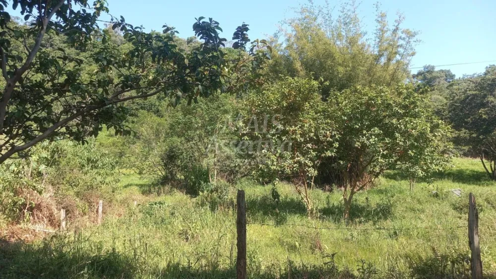 Excelente Chácara para Venda em Taquara Bairro Pega Fogo