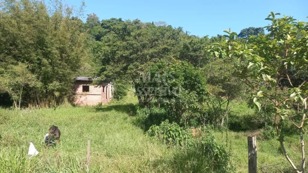 Excelente Chácara para Venda em Taquara Bairro Pega Fogo